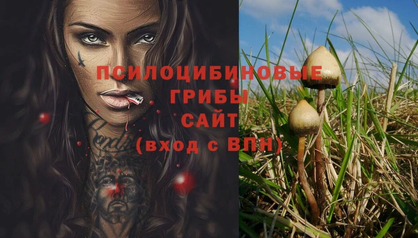 а пвп мука Бородино