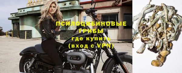 ECSTASY Бугульма