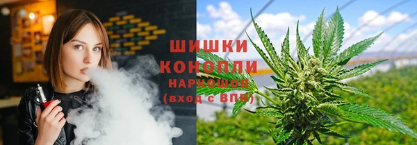 а пвп мука Бородино