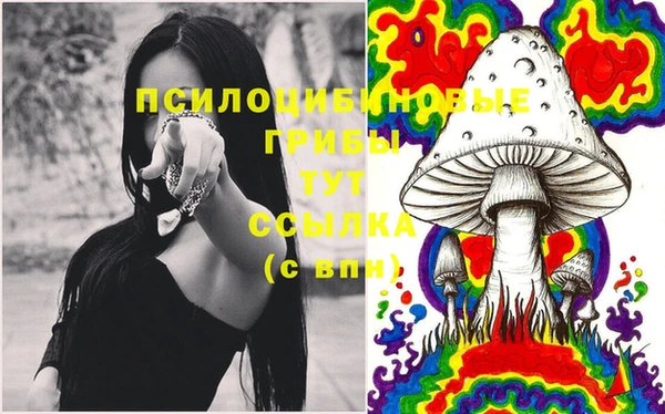 ECSTASY Бугульма