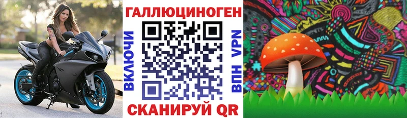 гидра как войти  Рязань  Галлюциногенные грибы Cubensis 